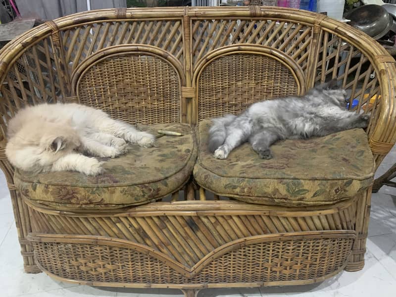 Sofa bed & sofas 2