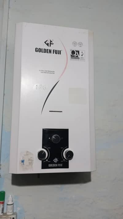 instant gesyer 12 lettr golden fuji