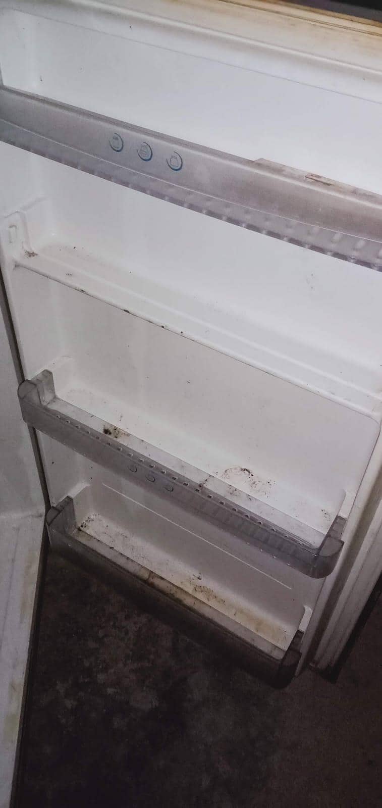 Fridge 3