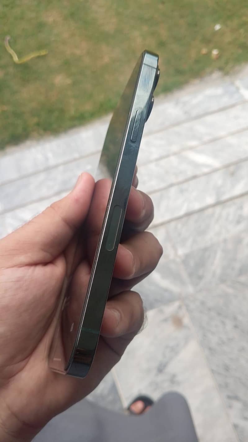 Apple iPhone 13 Pro Max 1