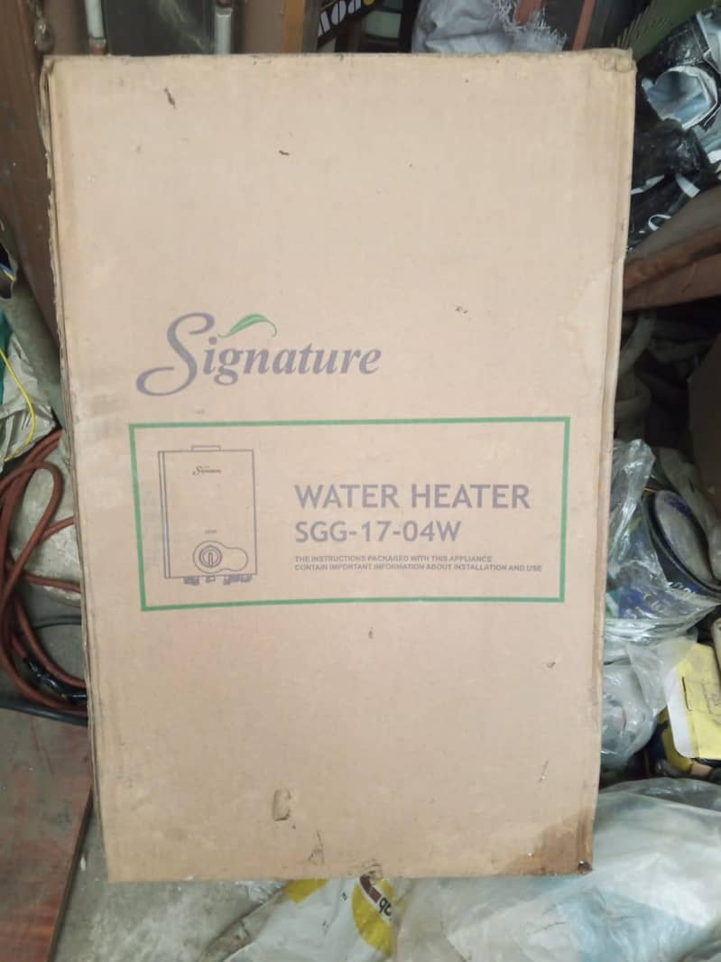 Geyser 5