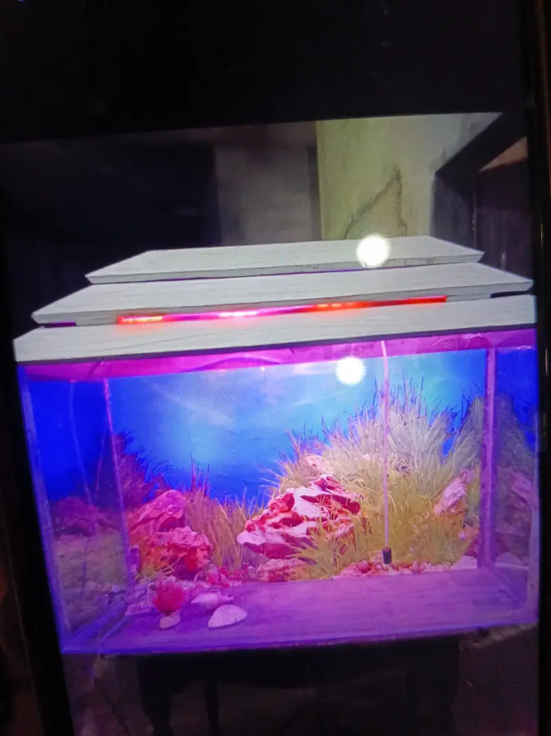 fish aquarium size 2.5×1.5× — photo 2