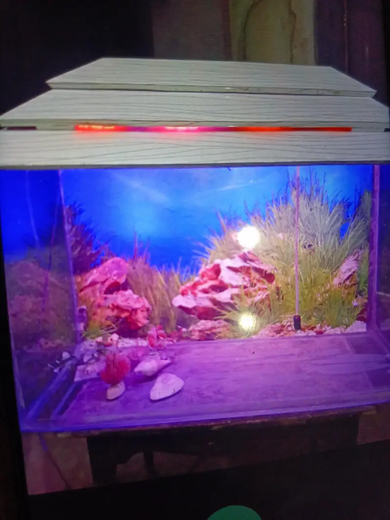 fish aquarium size 2.5×1.5× — photo 3