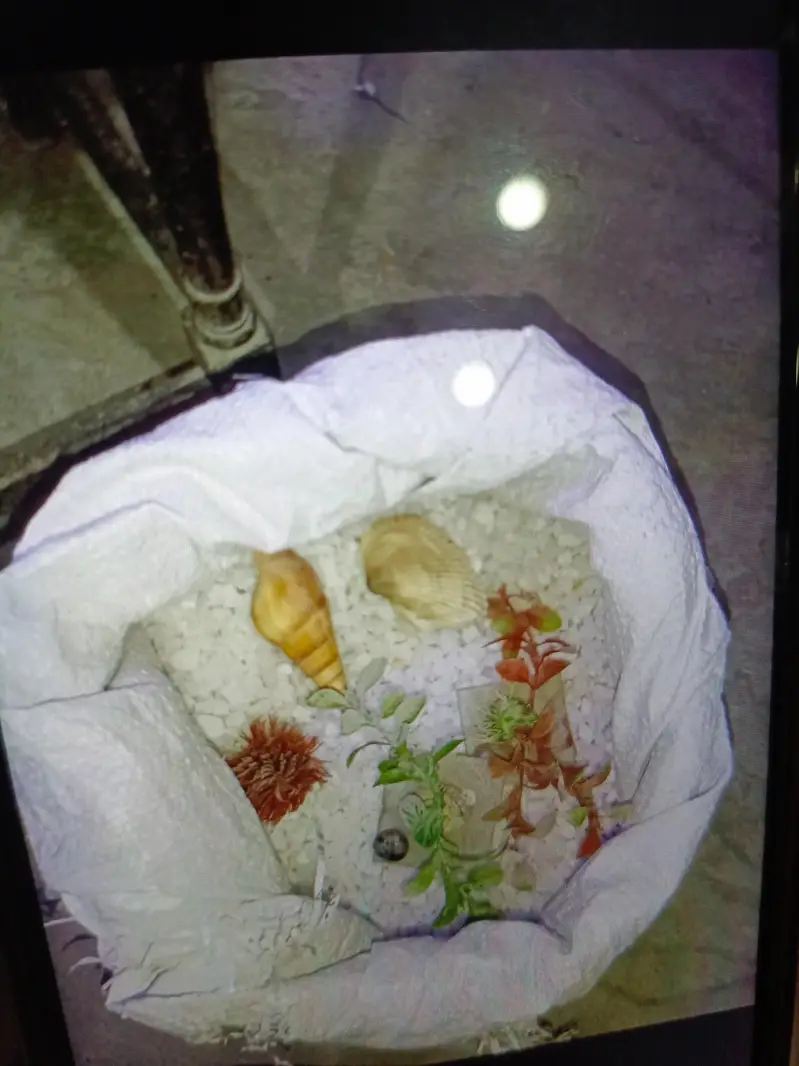 fish aquarium size 2.5×1.5× — photo 6