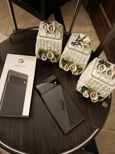 Google Pixel 6 Pro