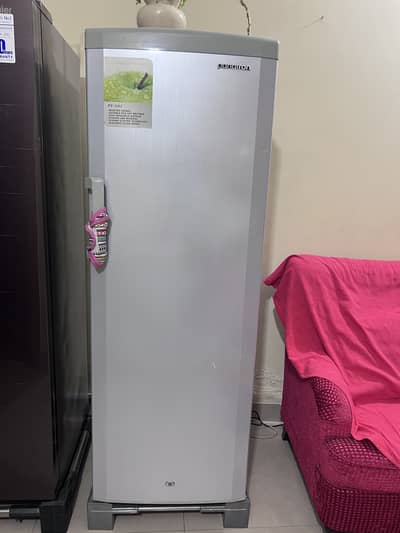 Deep freezer vertical standing