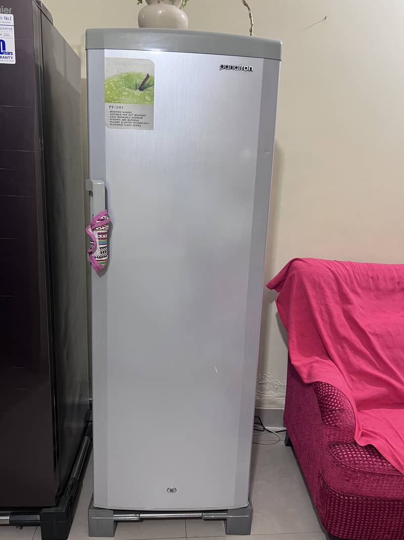 Deep freezer vertical standing 0