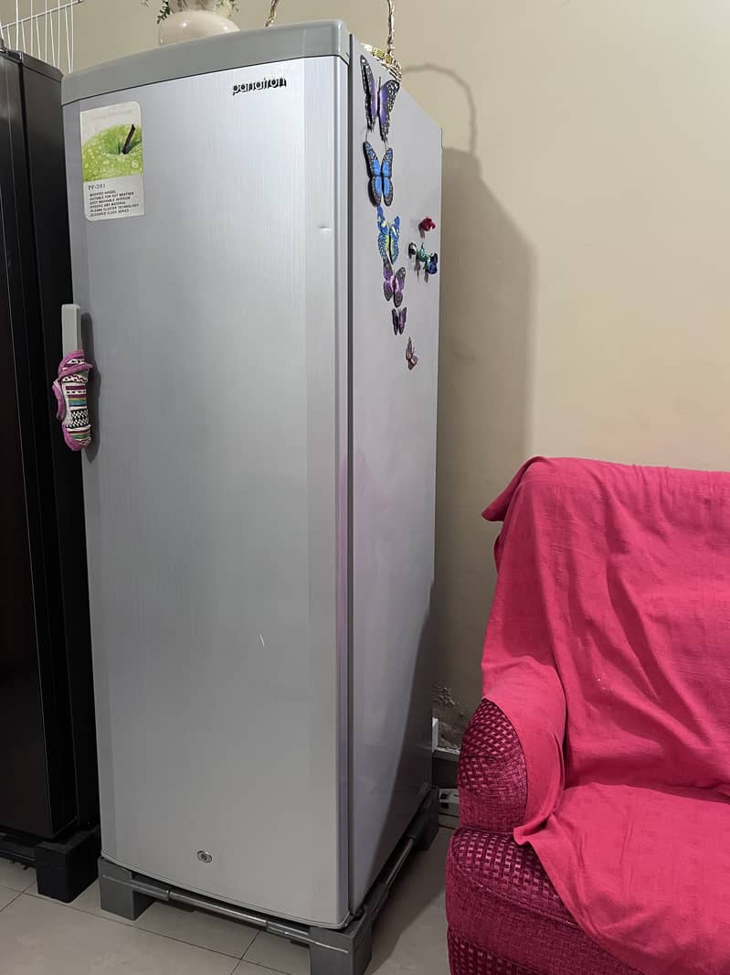 Deep freezer vertical standing 1