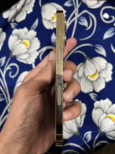 Apple iPhone 13 Pro