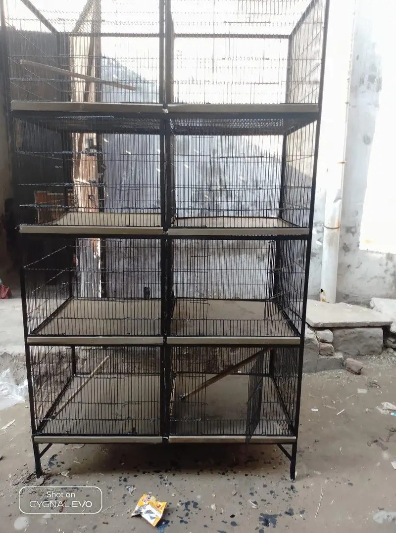 Cage of Pigeon — photo 2