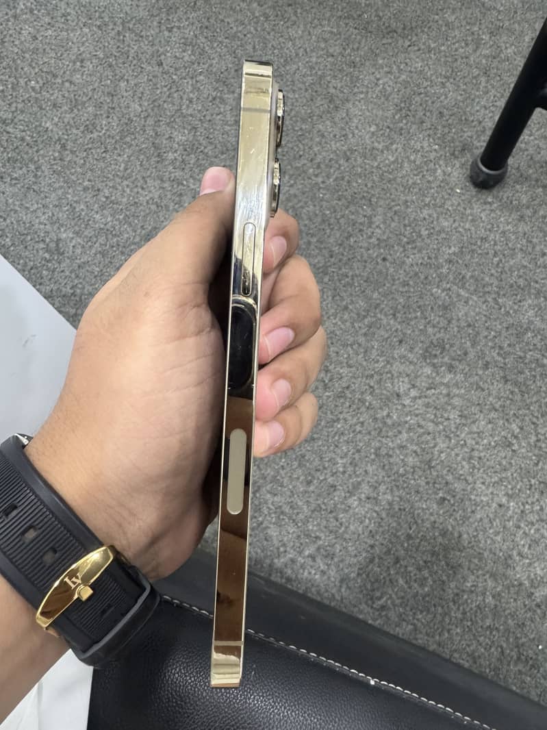 Apple iPhone 13 Pro Max 0