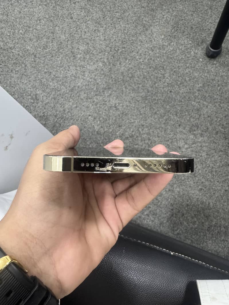 Apple iPhone 13 Pro Max 1