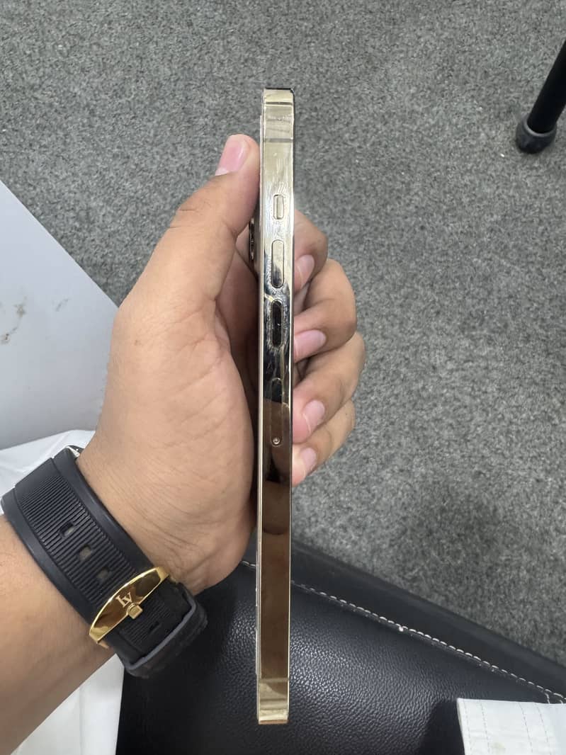 Apple iPhone 13 Pro Max 2