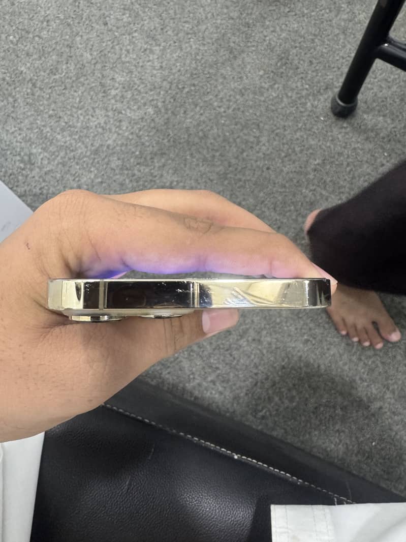 Apple iPhone 13 Pro Max 5