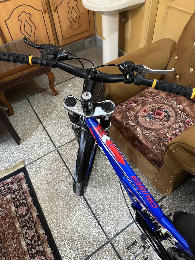 Bicycle 4