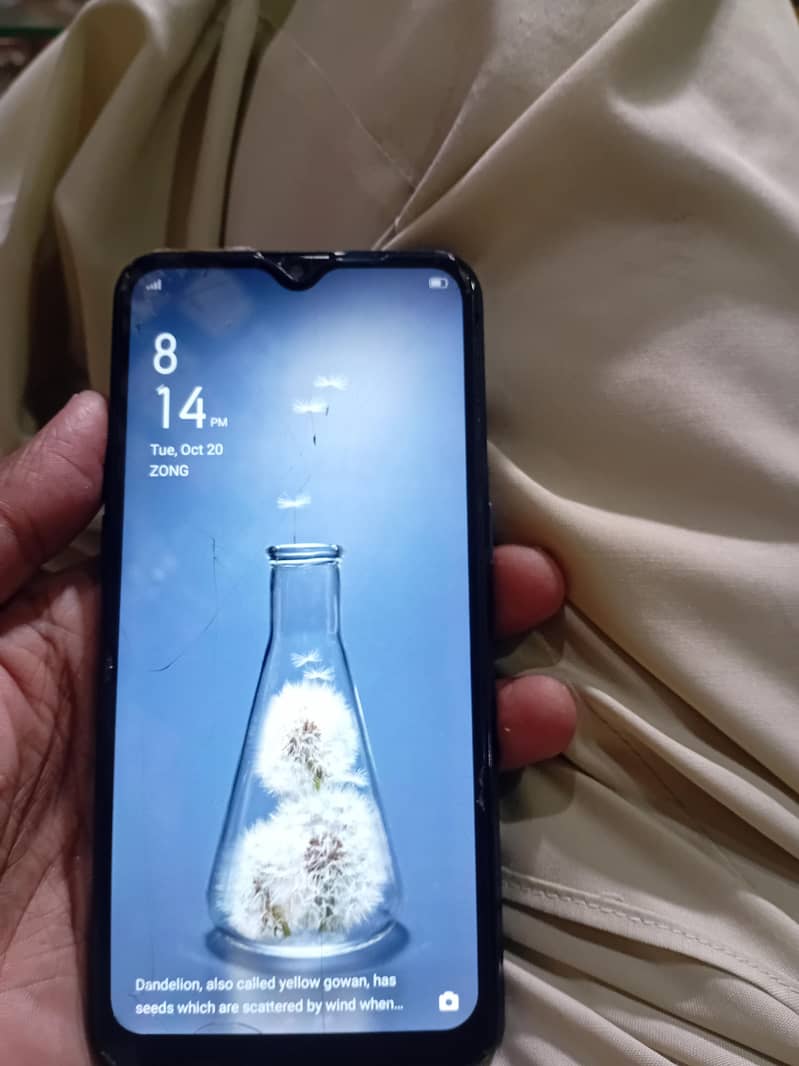 OPPO A11k 1