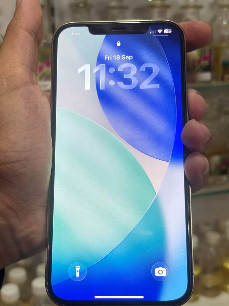 Apple iPhone 12 Pro Max 2
