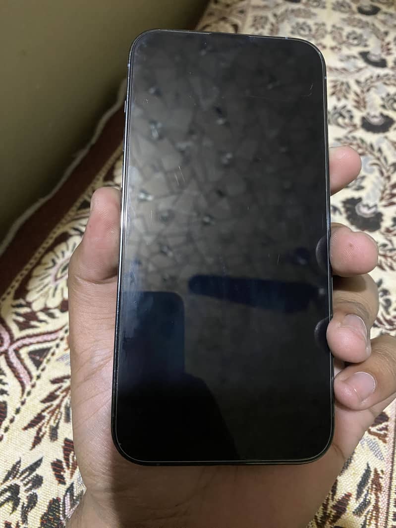 Apple iPhone 13 Pro Max 2