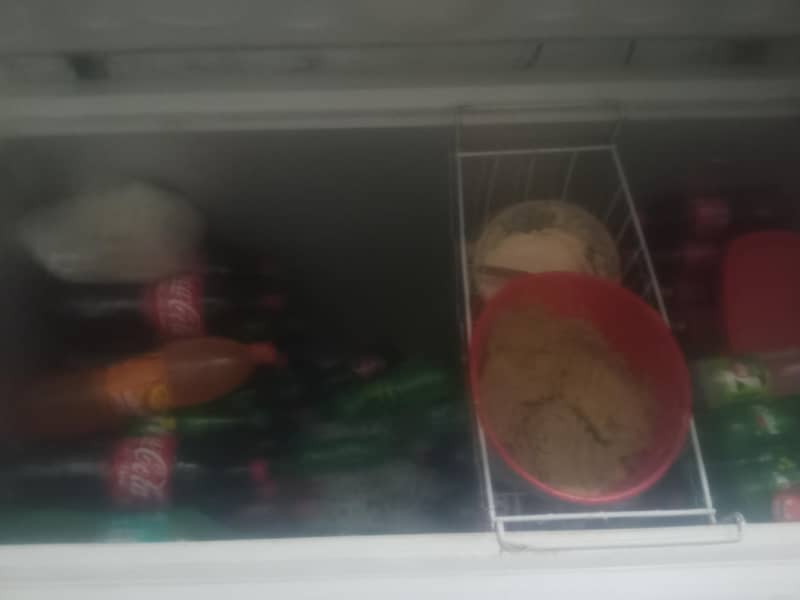 single door deep freezer 1