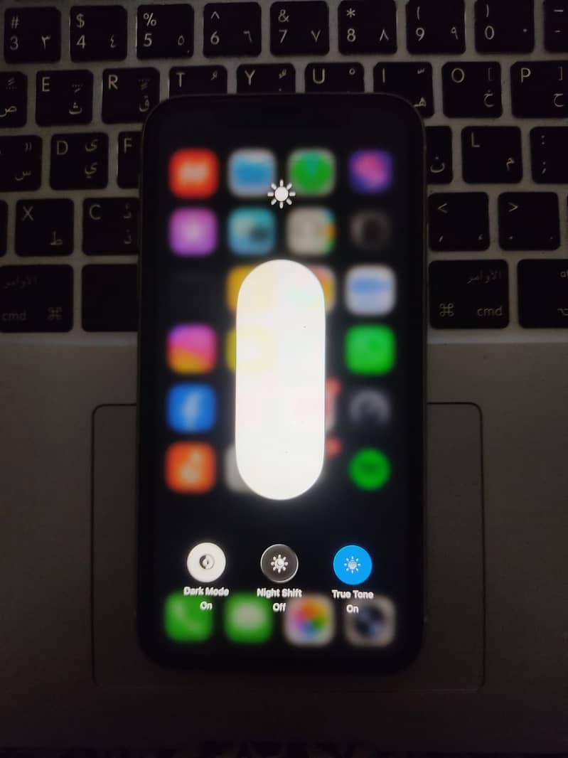 Apple iPhone 11 2