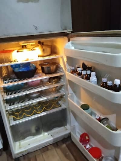 Dawlence 18 cubic Jumbo Fridge