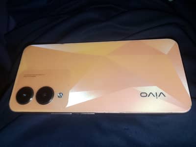 Vivo Y17