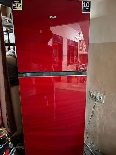 Haier fridge 2019 large size