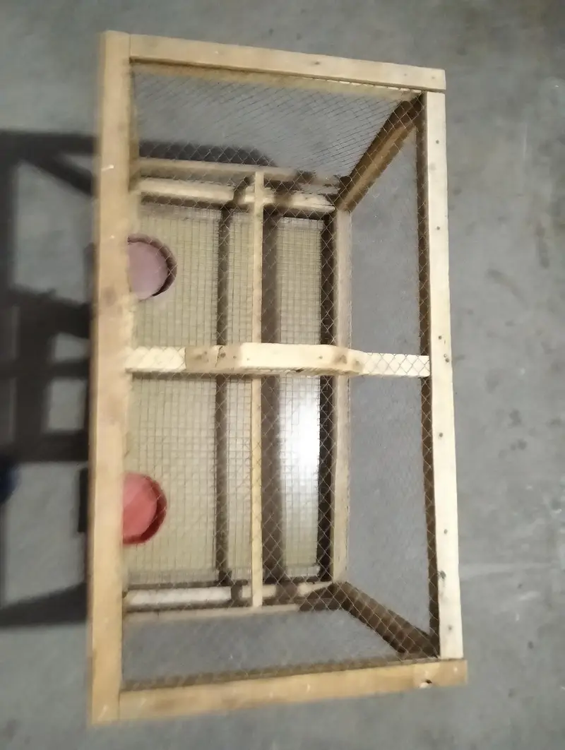 hard wood cage for sale — photo 2