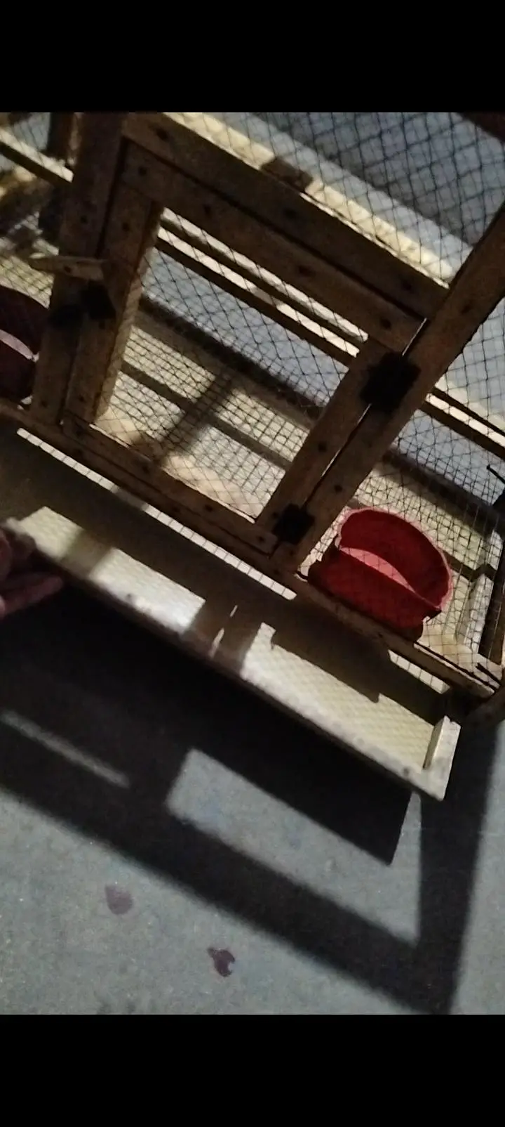 hard wood cage for sale — photo 3