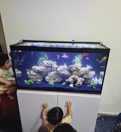 Complete Aquarium for Sale with 9 Fish & Cabinet