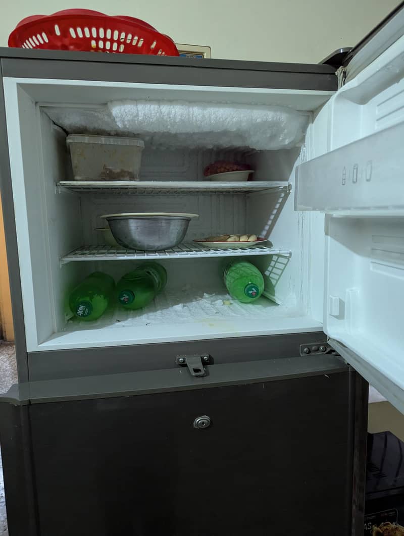Pel fridge 1