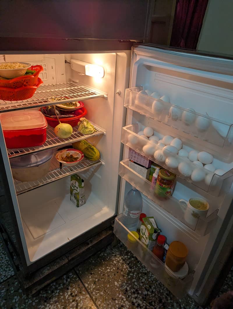 Pel fridge 2