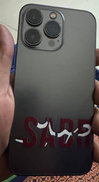 13 pro 256 gb