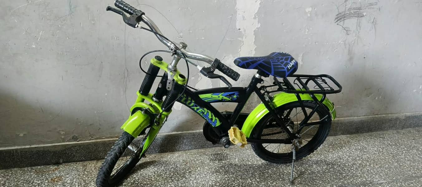 sohrab bycycle 2