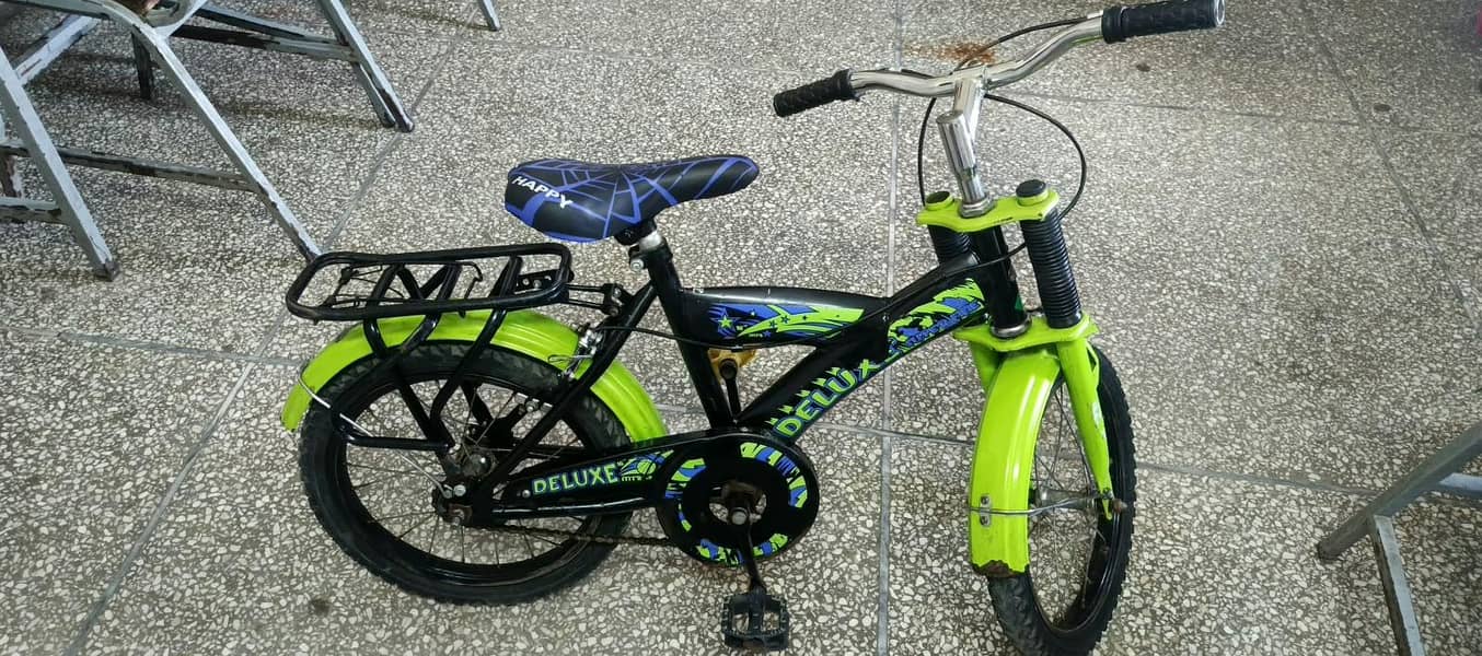 sohrab bycycle 3