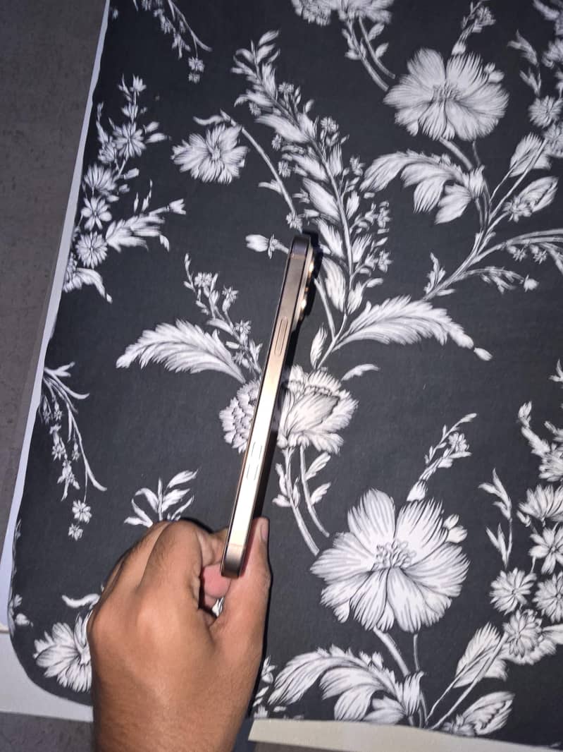 Apple iPhone 16 Pro Max 1