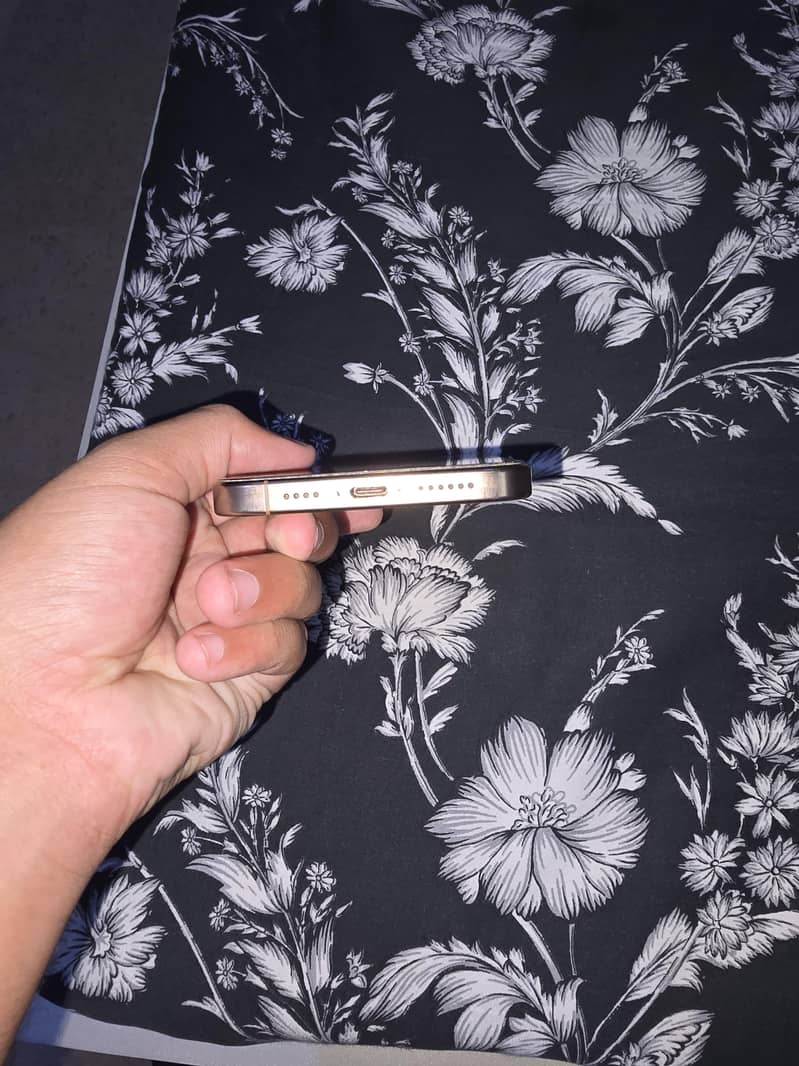 Apple iPhone 16 Pro Max 2