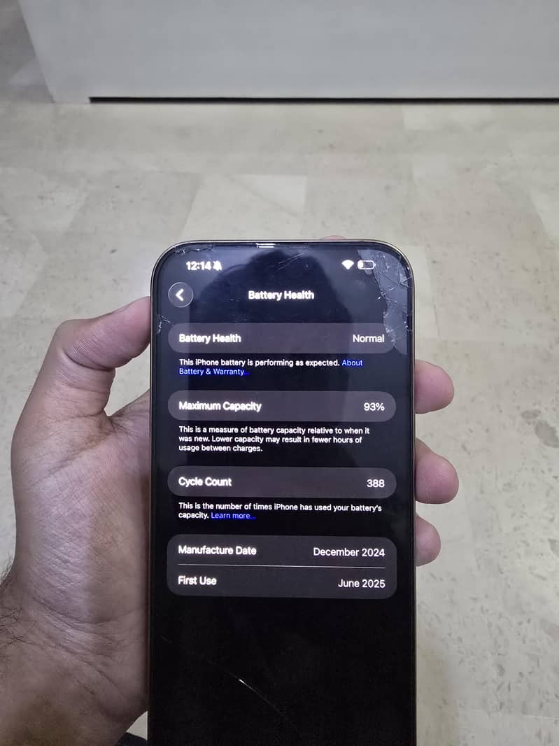 Apple iPhone 16 Pro Max 8