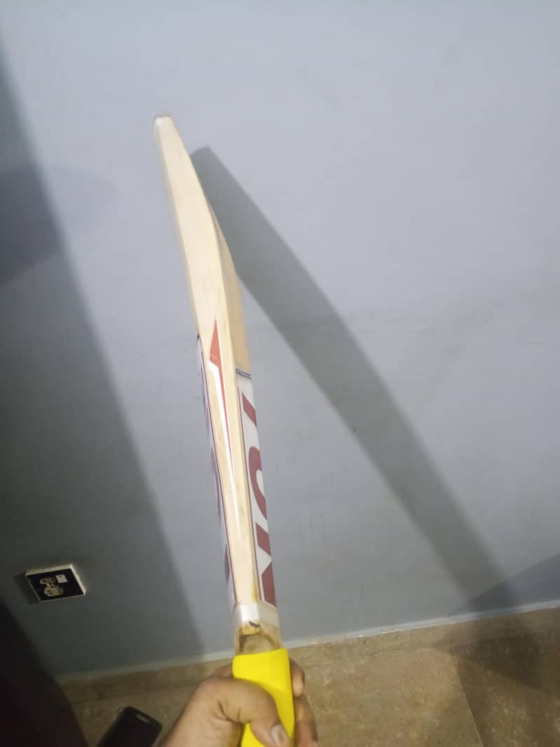 cricket Bat 5
