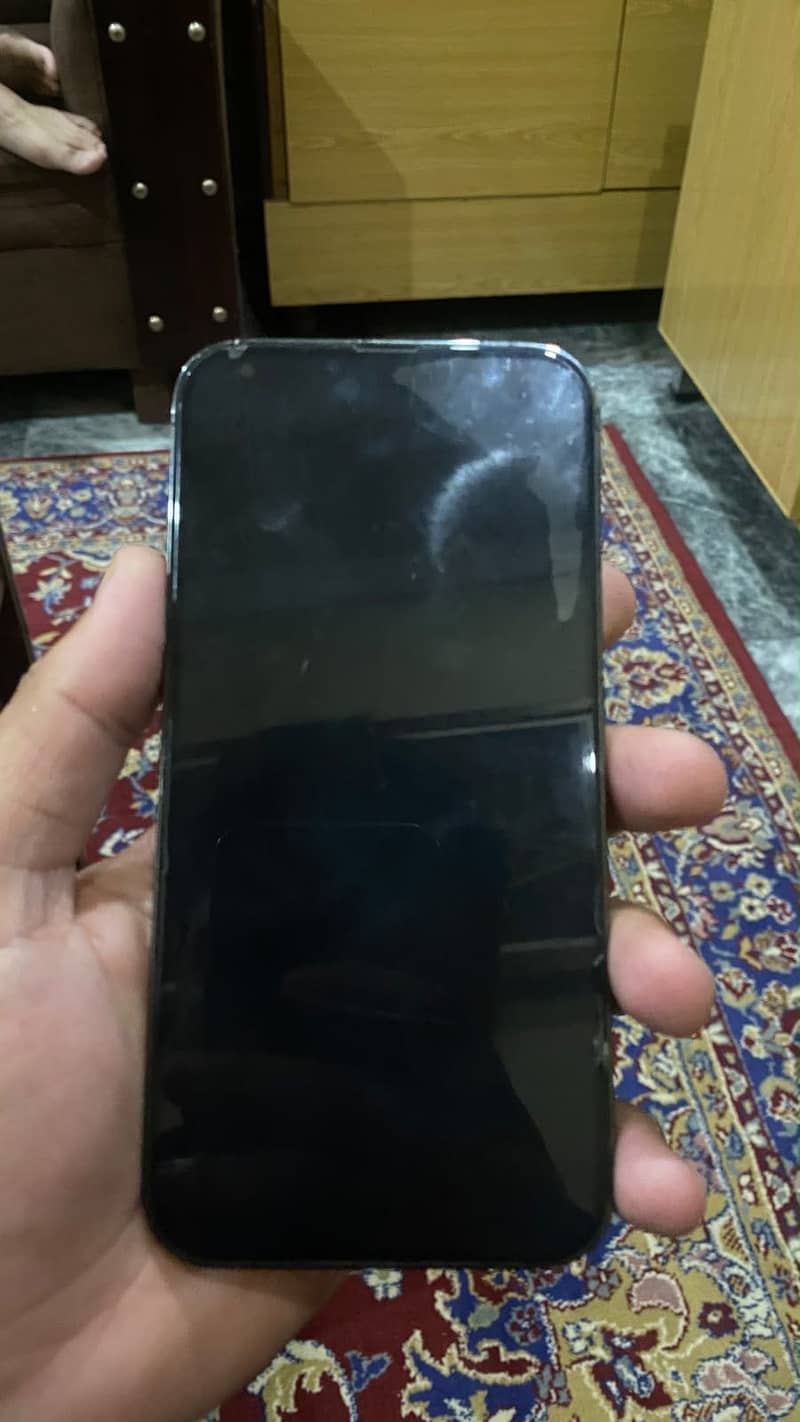 Apple iPhone 13 Pro Max 1