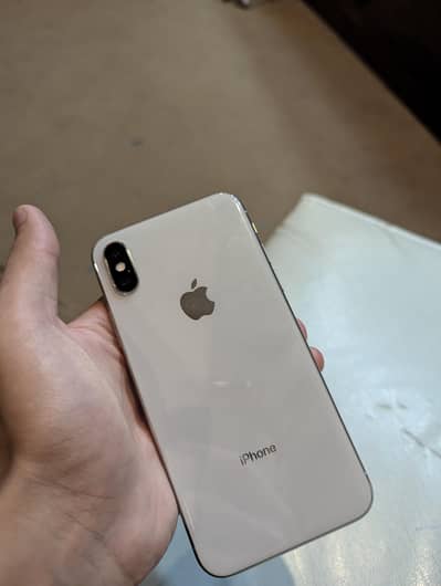 Apple iPhone X