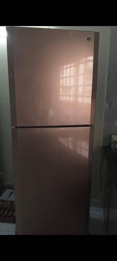 Pel model 22250 size litter gas leak
