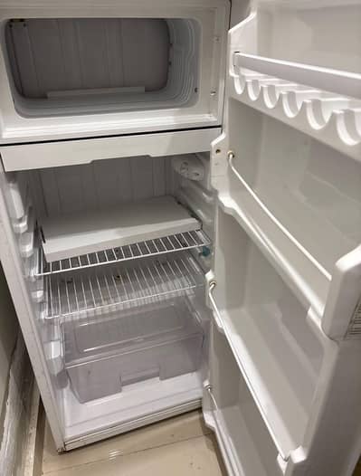 Single door refrigerator