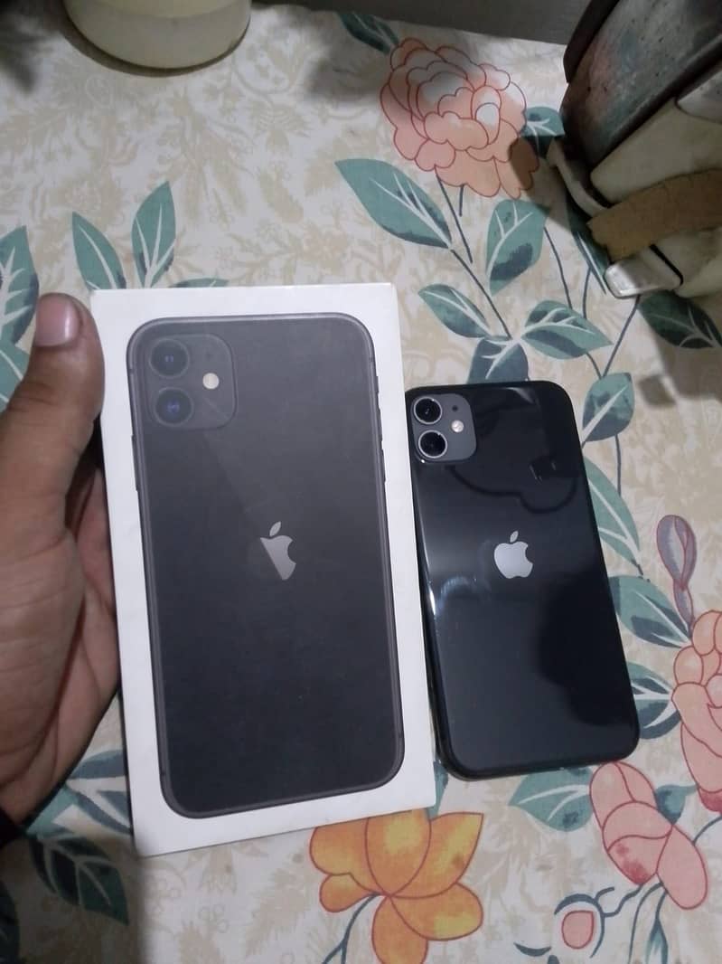 Apple iPhone 11 0