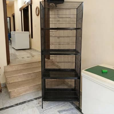 steel cage best for parrotts