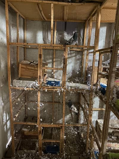 wooden cage