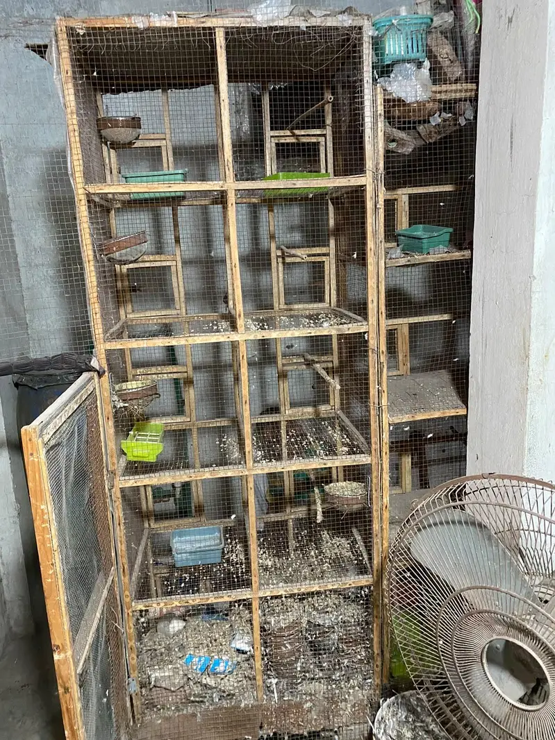 wooden cage — photo 2