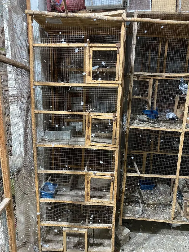 wooden cage — photo 3
