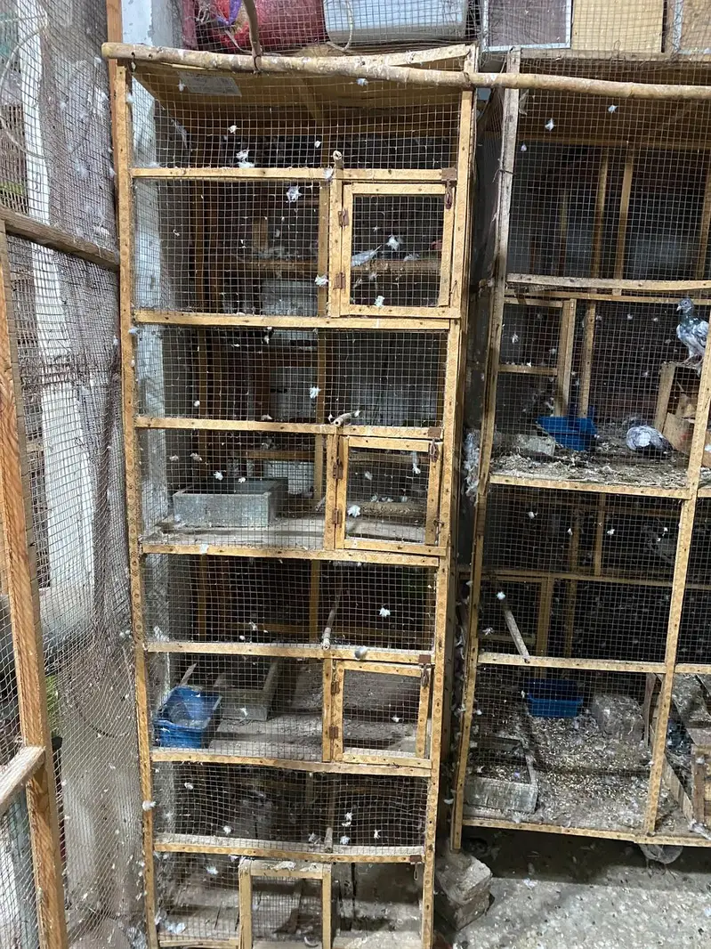 wooden cage — photo 5