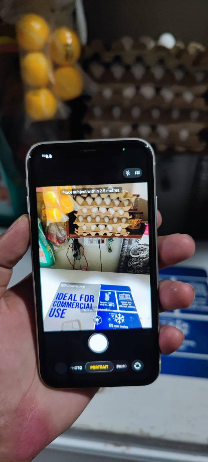 Apple iPhone 11 4